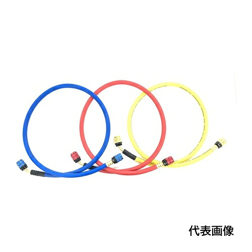皆既月食を見よう
