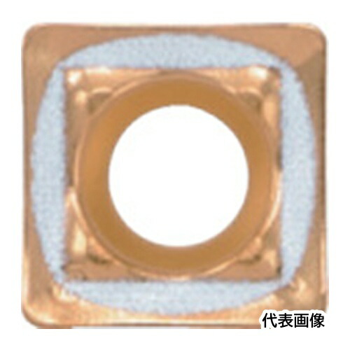皆既月食を見よう