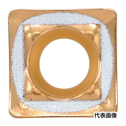 皆既月食を見よう