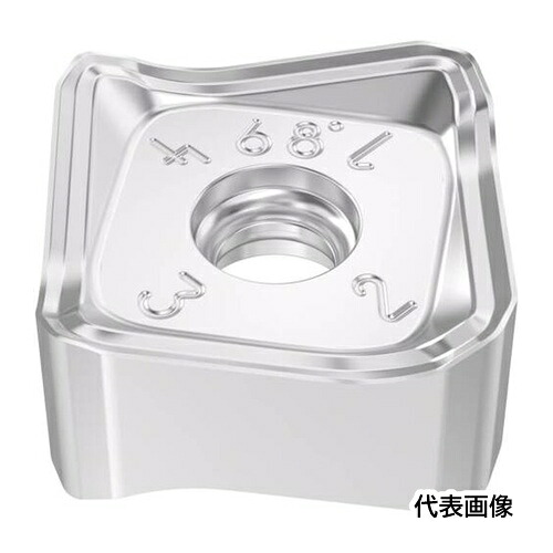 皆既月食を見よう