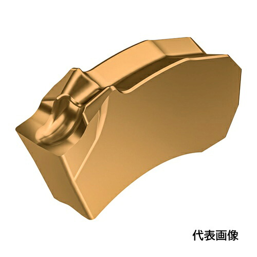 Walter 溝入れおよび突っ切り用チップ Tiger・tec Gold WSM33G [SX-2E200N02-CF5 WSM33G] SX2E200N02CF5 10セット 送料無料