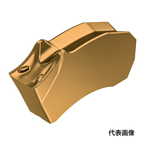 皆既月食を見よう
