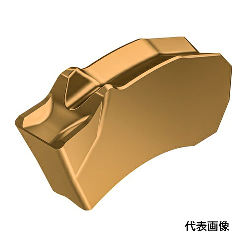 Walter 溝入れおよび突っ切り用チップ Tiger・tec Gold WSM23G [SX-4E400N02-CE4 WSM23G] SX4E400N02CE4 10セット 送料無料｜ルーペスタジオ