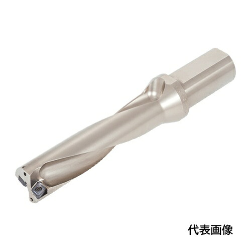 皆既月食を見よう