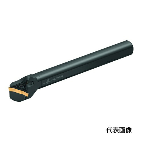 皆既月食を見よう