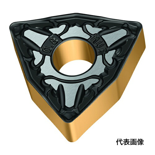 皆既月食を見よう