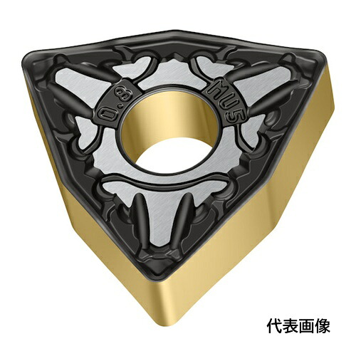 皆既月食を見よう