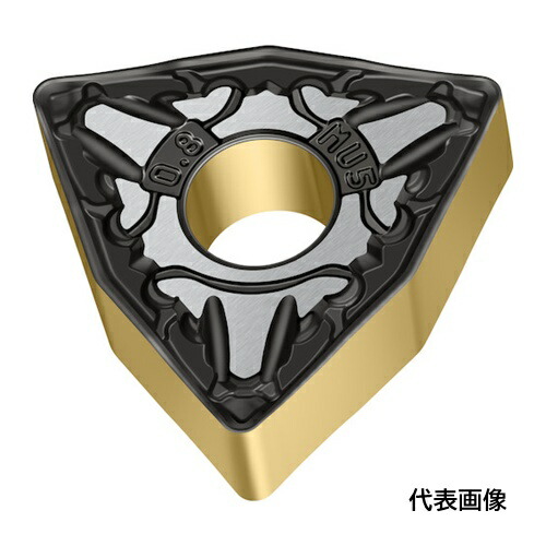 皆既月食を見よう