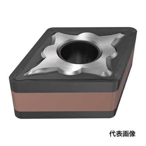 皆既月食を見よう