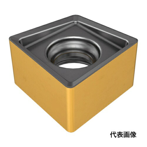 皆既月食を見よう