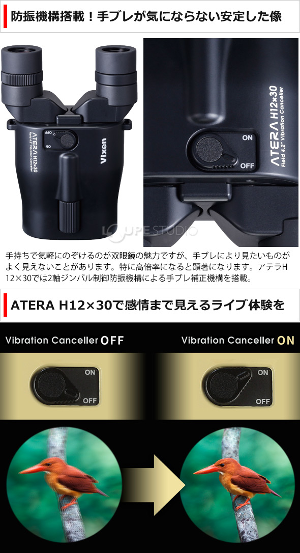 楽天市場 ビクセン アテラ双眼鏡 ライヴ双眼鏡 Atera H12x30 防振双眼鏡 スマホ撮影セット ブラック Vixen コンサート ドーム ライブ おすすめ 10倍以上 オペラグラス ルーペスタジオ