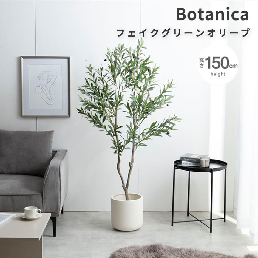 【 お買い物マラソン★ポイント5倍】 フェイクグリーン　オリーブ　フェイクグリーン　オリーブ　高さ150ｃｍ　人工観葉植物　光触媒　おしゃれ　観葉植物　フェイク　リアル　防臭効果　インテリア　おすすめ　ナチュラル　シンプル　北欧　レトロ　西海岸｜アンココン ～ UNCOCON ～