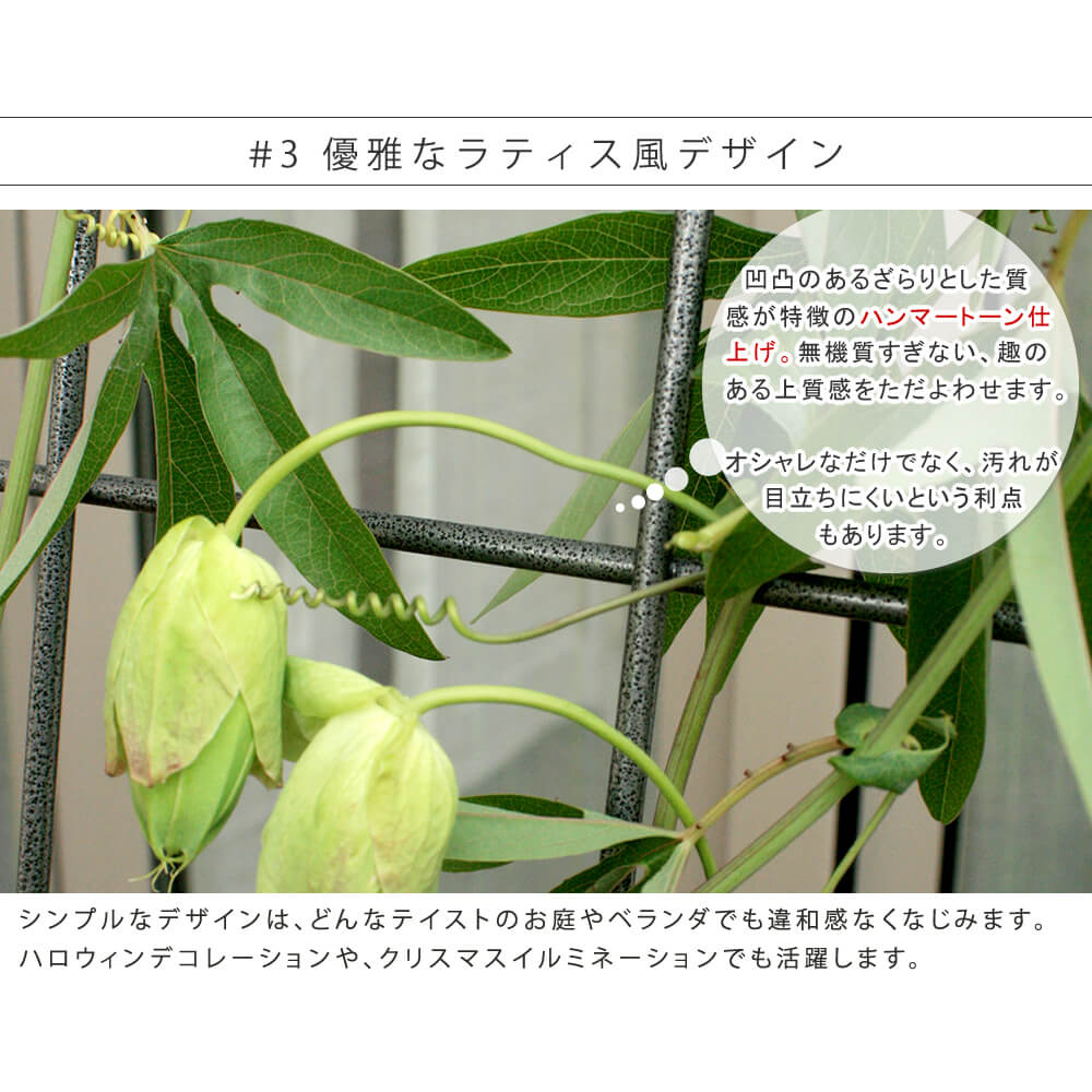 レビューで送料無料 楽天市場 フェンス アイアン製 グリーンカーテン ベランダ ガーデニング 枠 柵 仕切り 目隠し 境目 送料無料 アンココン Uncocon 即納特典付き Lexusoman Com