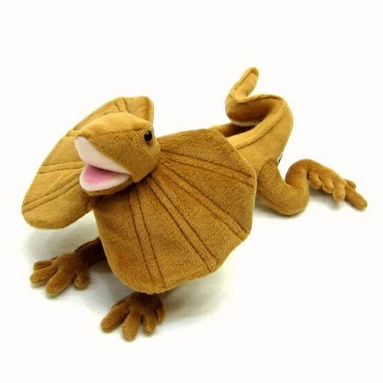 楽天市場 エリマキトカゲ Frilled Lizard サイズ 25cm Love Journey