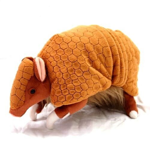 楽天市場】【TST ミツオビアルマジロ ぬいぐるみ】アルマジロ