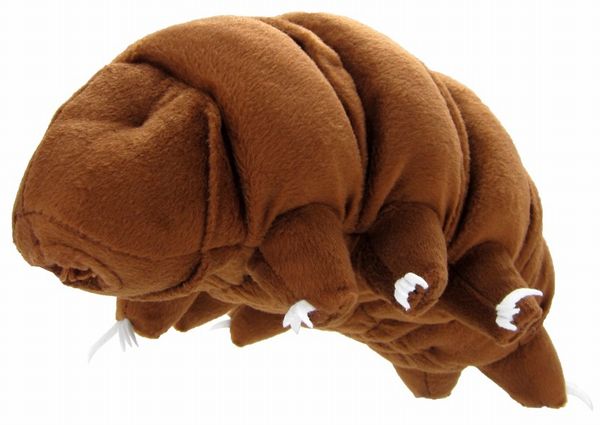 plush tardigrade
