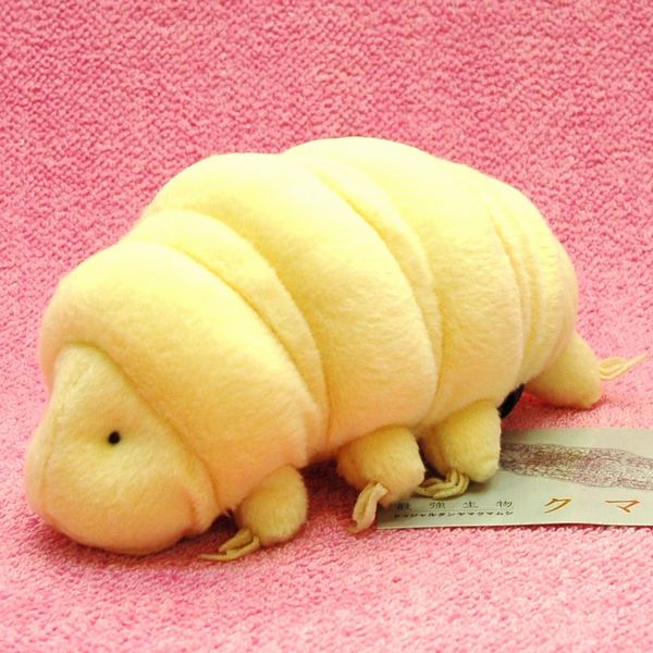 楽天市場】最強生物 クマムシL サイズ:30cm Water bear