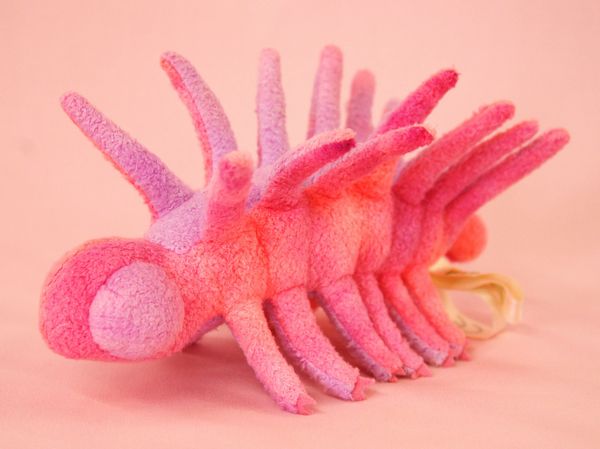 楽天市場 ハルキゲニア Hallucigenia サイズ 19cm Love Journey