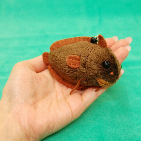 楽天市場】トビハゼ携帯ストラップ サイズ:7.5cm ふわふわ