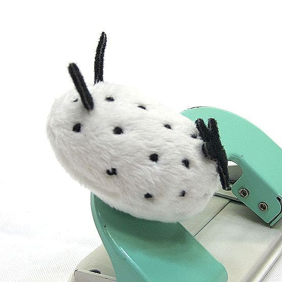 楽天市場】シロウサギウミウシ マグネット サイズ:6cm ふわふわ