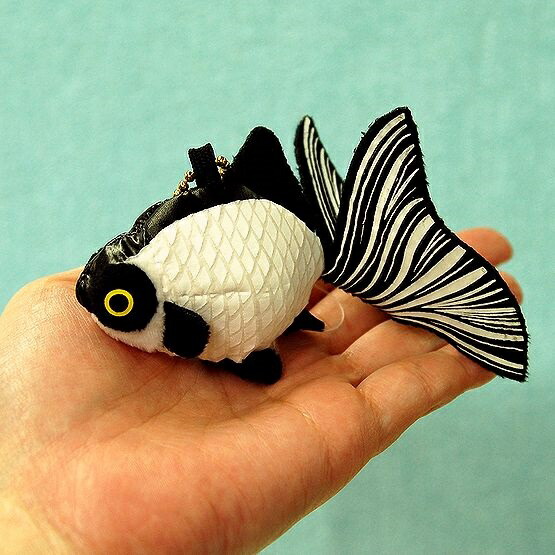where to buy panda telescope goldfish where to buy panda telescope goldfish