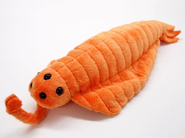 opabinia plush