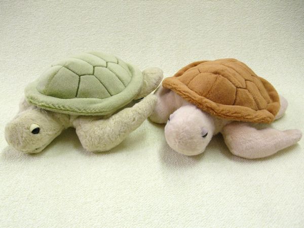 楽天市場】リクガメ シドくん GREEN サイズ：H10cm りくがめ