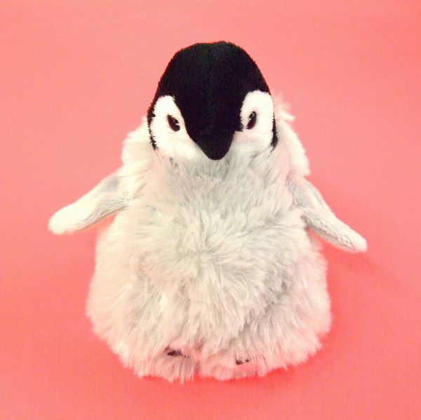 楽天市場】sucre 皇帝ペンギン 子供 L サイズ:30cm ふわふわ