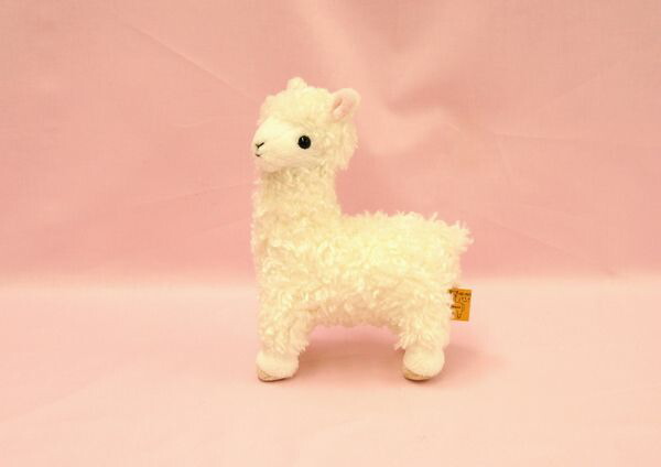 楽天市場】ゆめ アルパカ マグネット サイズ:6cm 磁石 Magnet ふわふわ