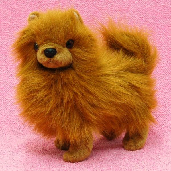 楽天市場】テディベアカットトイプードル レッド/アプリコット サイズ