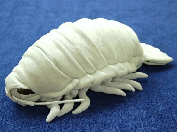 楽天市場】深海魚シリーズ ダイオウグソクムシ 特大 グレー 7317
