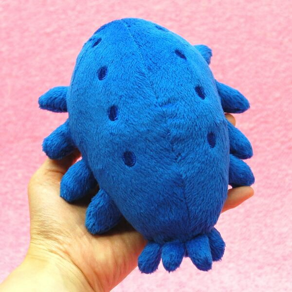 sea cucumber plush