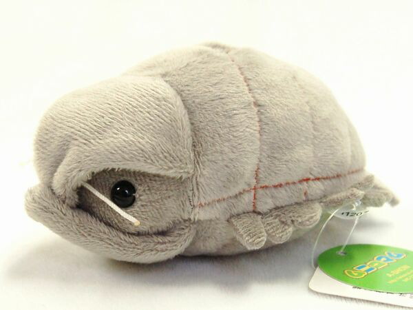 むにゅ ぬいぐるみ ぞう クワガタ 楽天市場】ムニュマム クッション クワガタ サイズ:46cm ふわふわ