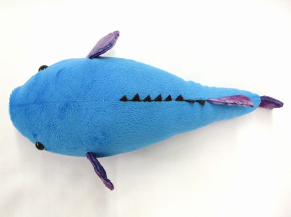 楽天市場 深海魚シリーズ ニュウドウカジカ ブロブフィッシュ サイズ 30cm Love Journey