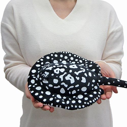 楽天市場】わくわく図鑑 淡水エイ サイズ:37cm ポルカドット