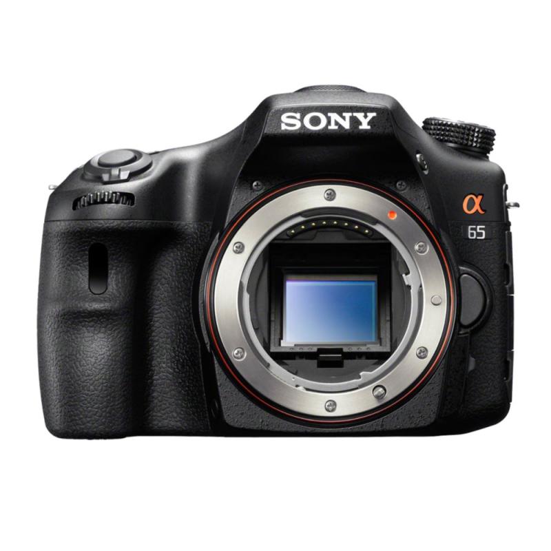 【中古】ソニー SONY 鏡鑑受け答え一眼 α65 上半身 SLT-A65V