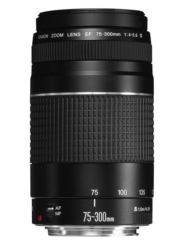 【中古】Canon EF水晶体 EF75-300粍 F4-5.6 III望遠レンズ 望遠 並行輸入品 黒 鏡鑑受け答え 一眼一眼レフ デジタル写真機 取り替えっこ水晶体 中古