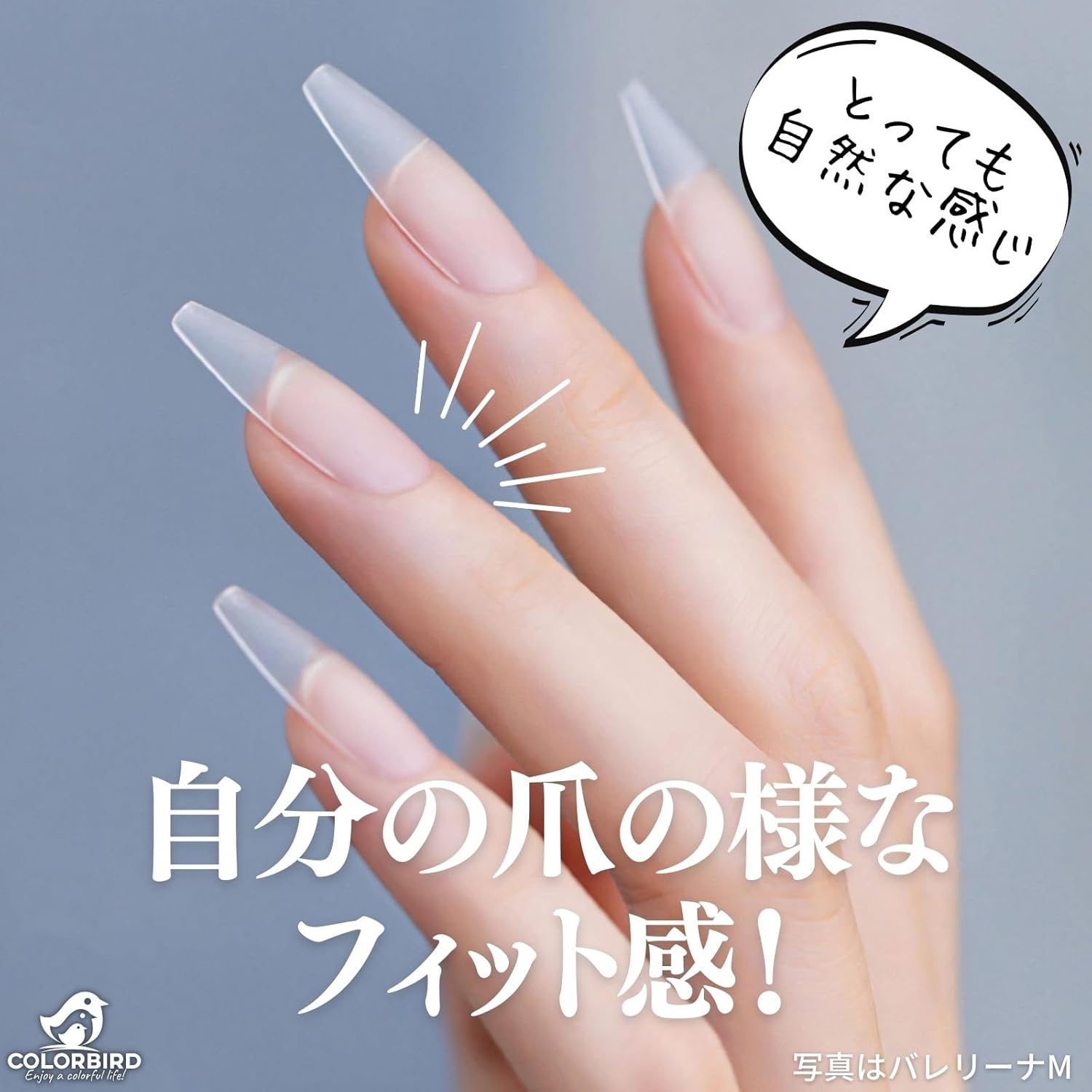 楽天市場】【25シート/600枚】 ネイルチップ 粘着グミ 付け爪
