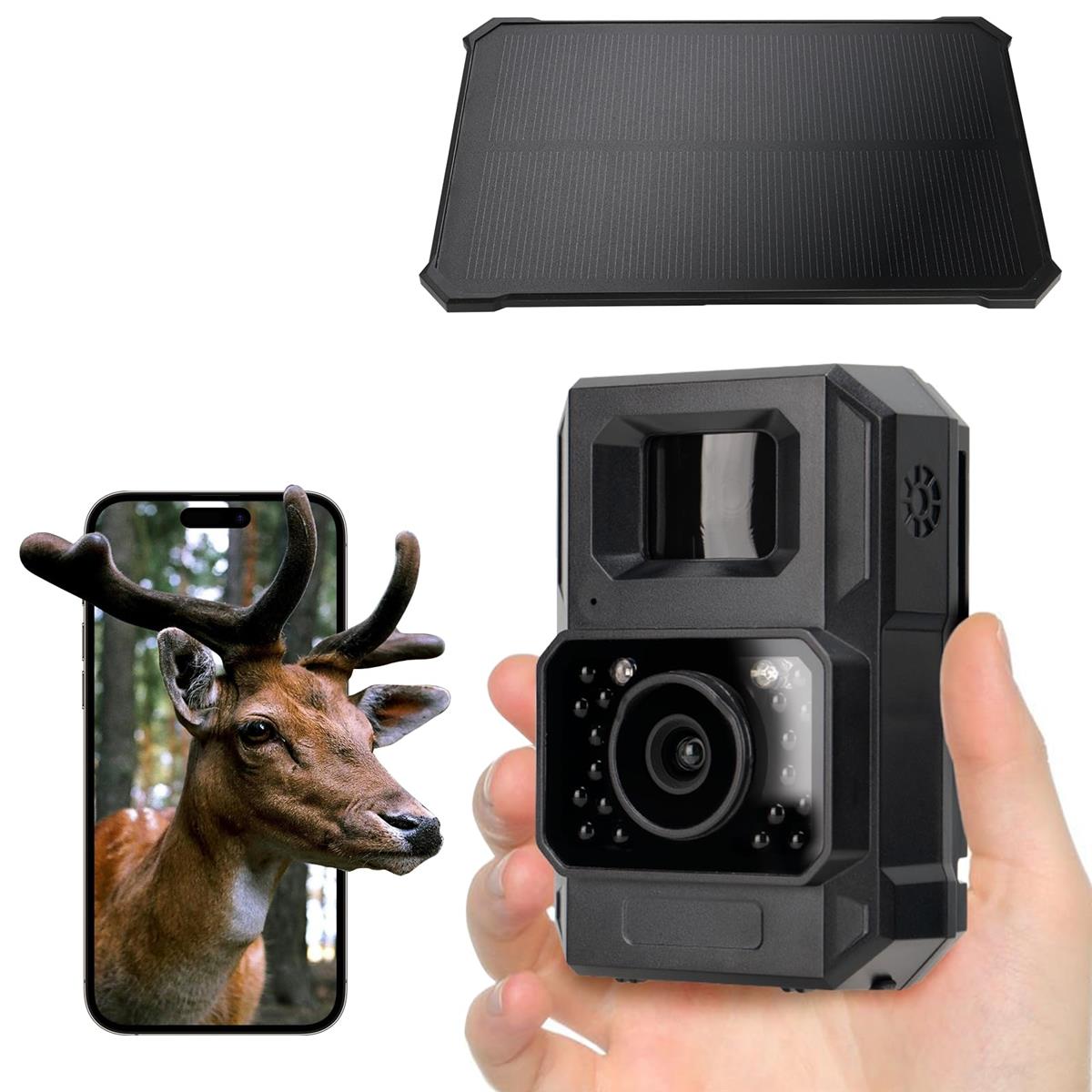 Hapimp【申し受ける式＆WIFI相応う】 防犯写真機 トレイル写真機 ソーラーダイアログボックス 6000万絵素 1080P 小型 露天 屋外 蓄電池不必要 ソーラーダイアログボックス付 IP66雨合羽防塵 赤外線LED 監督すること写真機 流動体さがし当てる 人感検知器 暮夜相応う 自動小銃上書き録画 256GBMicro SD歌留多相応う（別売り）日本語説