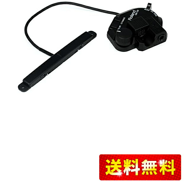 Roland GK-3 ディバイデッドピックアップ Amazon.co.jp: Roland ローランド GK-3 ギター用ディバイデッド