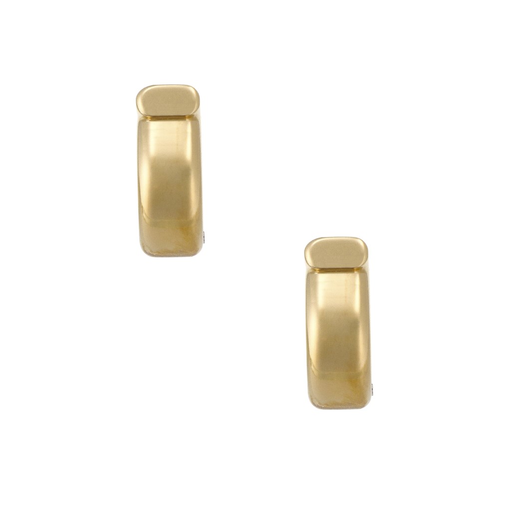 楽天市場】FERRAGAMO フェラガモ ピアス EAR GANFUT P 76 0583