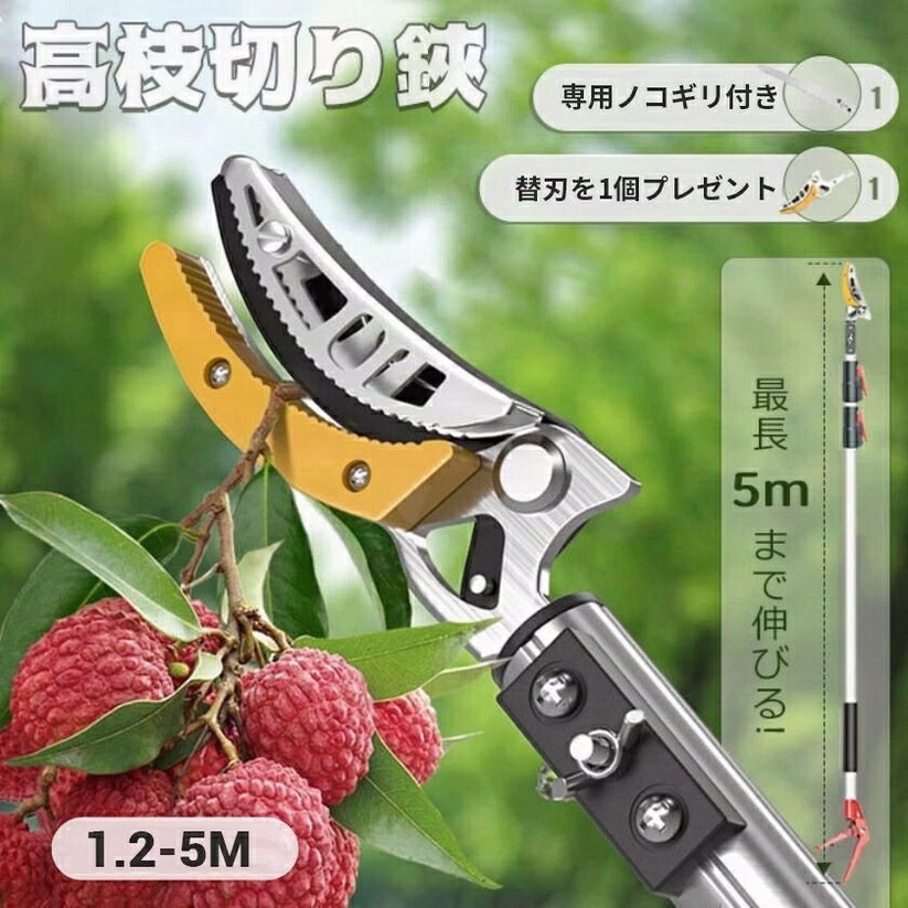 高枝切りバサミ ノコギリ 替刃付き添い人 2m 3m 4m 5m 高枝切鋏 伸縮式 切り下げる鋏 剪刀 高さ太枝切鋏 高枝切り鋏 たかえだきりばさみ豪然たる 軽さ いけ図図しい枝 高枝切り えだきりばさみ 枝切り鋏 たかえだきり 高枝バサミ 枝切ばさみ 木を切る 高枝