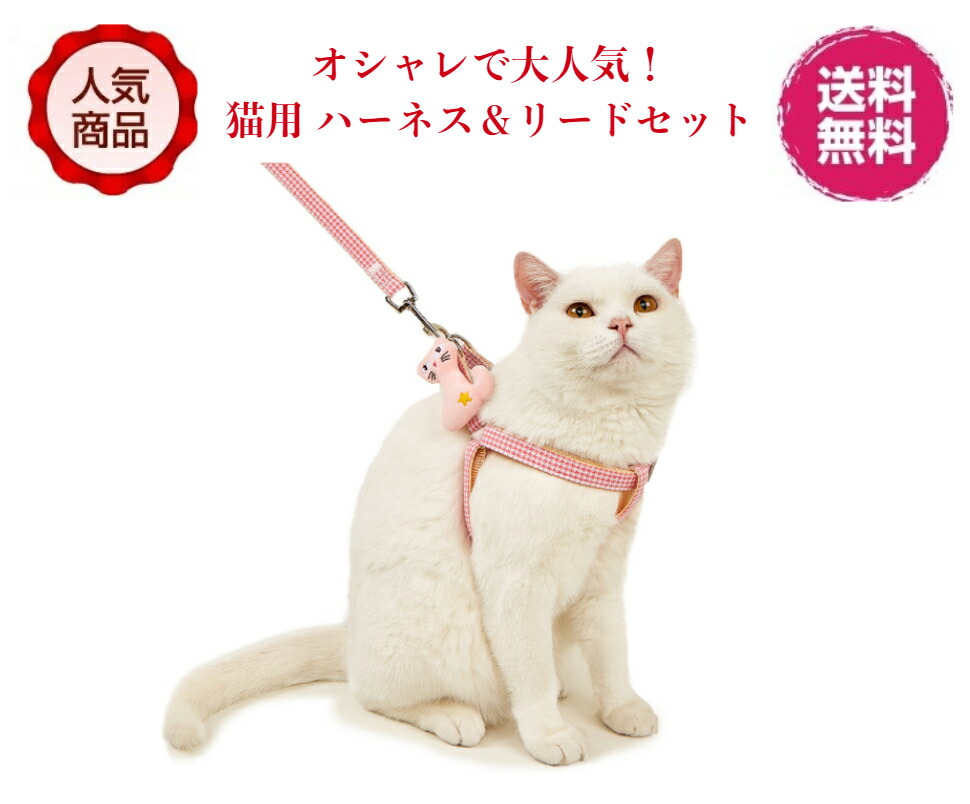 市場 再入荷 大人気 猫向けお散歩アイテムハーネス リードセット ペット用ハーネス 期間限定お買い得価格990円さらに送料無料 ペットハーネス