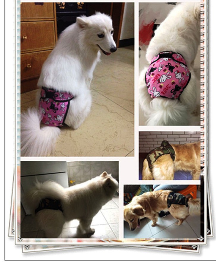 大人気 中型犬 大型犬用 マナーパンツb マナーパンツ 犬の服 星柄 男の子 サスペンダー 生理オムツ 格安店 ワンちゃん服 ドッグ服 ペット服 ドッグウェア 犬服 オシッコ対策