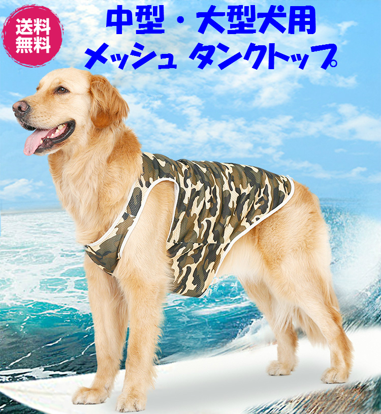 楽天市場】2個で2300円！大人気☆中型犬・大型犬用！マナーパンツ 