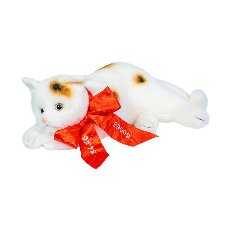 pl-cat_1.jpg
