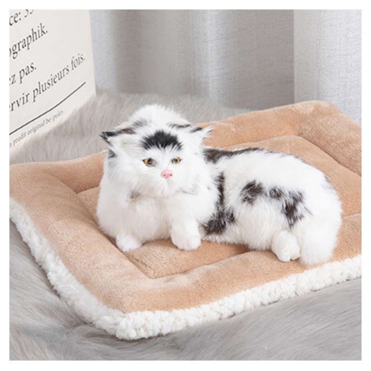 ケージ用 ベッド 洗える 56×38cm かわいい ボアマット肉球 猫 マット あったか ふわふわ ケージ ペットベッド 冬 猫 ペット 犬  ねこベッド 洗える 犬 星柄 Sサイズ Mサイズ Lサイズ ペット 冬マット 40×30cm クッション ベッド・マット・寝具 |  antiguaboreal.com