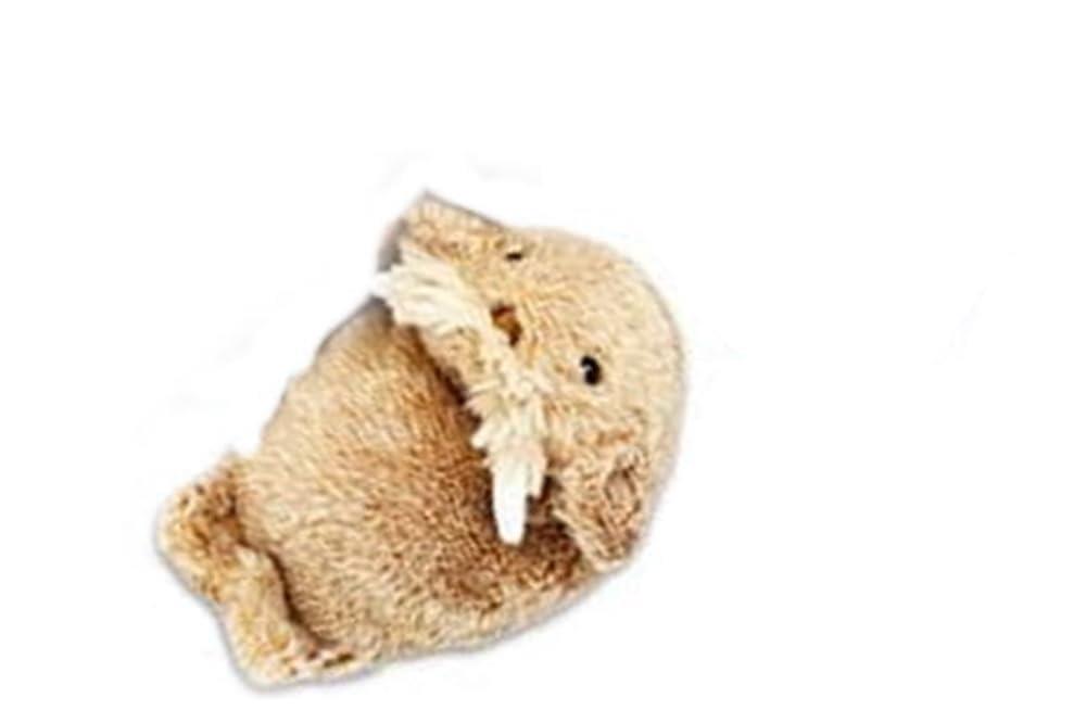 楽天市場】【海中散歩】セイウチさんの一日 マスコット ブラウン 海