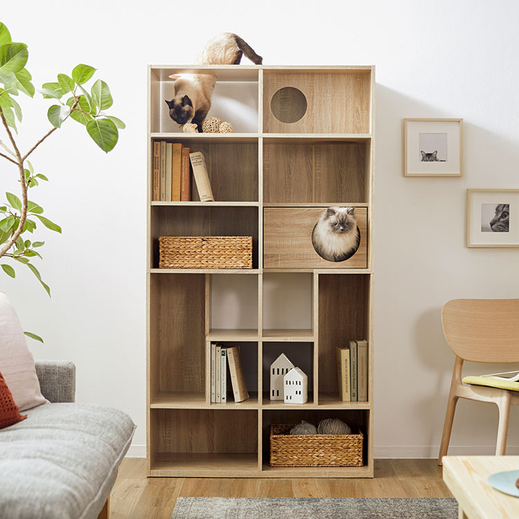 家具 ソファー おしゃれ キャットタワー 木製 家具 本棚 キャビネット 幅90cm 猫 チェスト 収納棚 キャットウォーク ブックシェルフ 収納 90 テレワーク キャットタワー ねこ ネコ 在宅 Lowya ロウヤ 店キャットウォーク 猫 壁面収納 本棚 収納棚 幅90cm チェスト 家具 ソファー おしゃれ キャットタワー 木製 家具 本棚 キャビネット 幅90cm 猫 チェスト 収納棚 キャットウォーク ブックシェルフ 収納 90 テレワーク キャットタワー ねこ ネコ 在宅 Lowya ロウヤ 店キャットウォーク 猫 壁面収納 本棚 収納棚 幅90cm チェスト