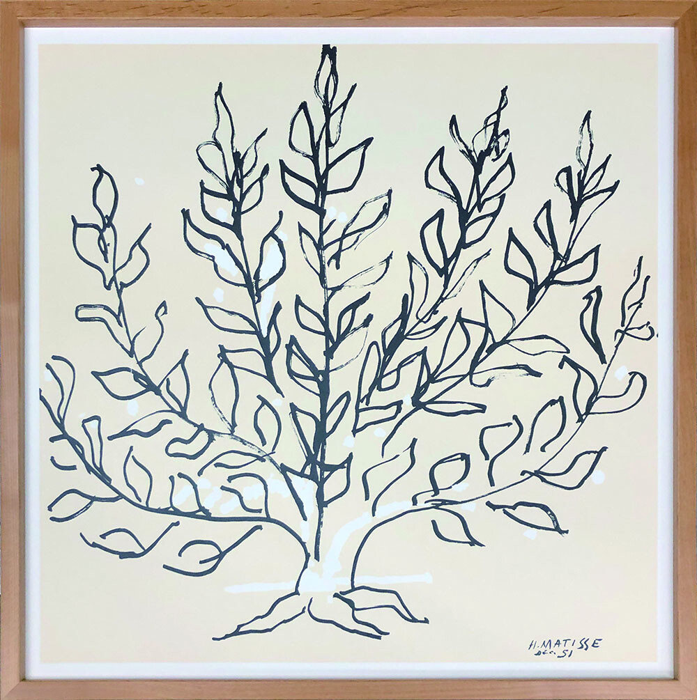 楽天市場】Mary Magdalene / フェリシアローズマント メアリー